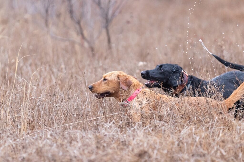 Featured Image 1 1024x683